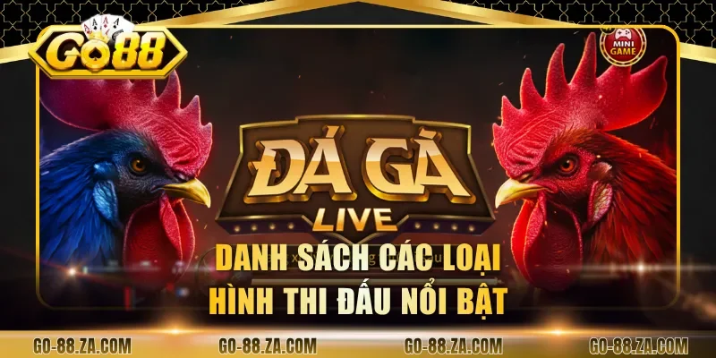 danh-sach-cac-loai-hinh-thi-dau-noi-bat