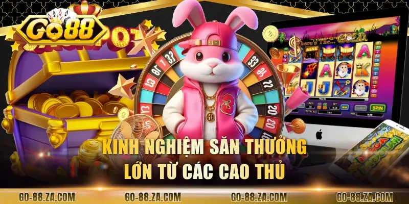 kinh-nghiem-san-thuong-lon-tu-cac-cao-thu